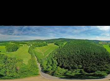 Percorso A piedi Bad Schandau - Gelber Punkt, Panoramaweg - Photo