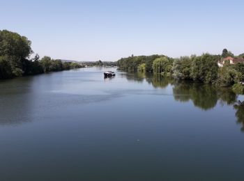 Tour Radtourismus  Auxerre - 71 Bourgogne J5/8 - Photo