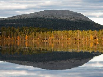 Randonnée A pied Kolari - Keskisenlaen kierros (