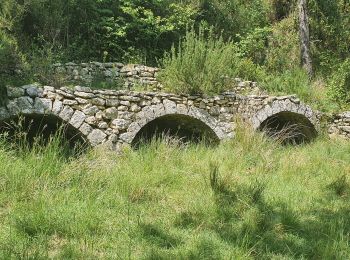 Tocht Stappen Rougiers - Rougiers, Piégu, la fontaine de la Guillandière, le Castrum - Photo