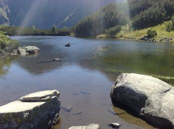 Tocht Te voet okres Tvrdošín - Náučný chodník Roháčske plesá - Photo