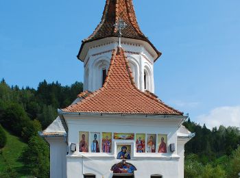 Tour Zu Fuß Unbekannt - Șimon - Culmea Bălăban - sub Șaua Polițe - Photo