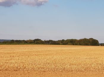 Randonnée Marche Béthancourt-en-Valois - Béthancourt en valois - Photo