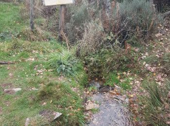 Tour Wandern Mont Lozère et Goulet - sources du lot - Photo