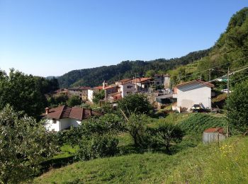 Trail On foot Luni - Ortonovo - La Foce – M. Bandita – Castelpoggio - Photo