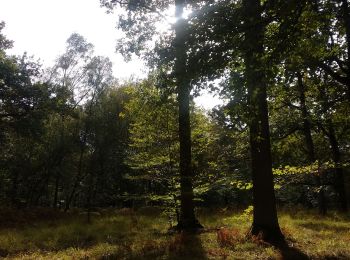 Tour Wandern Gambaiseuil - Grosrouvre - Photo