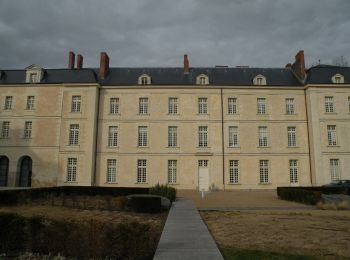 Tour Zu Fuß Ancenis-Saint-Géréon - L'Île Mouchet - Photo