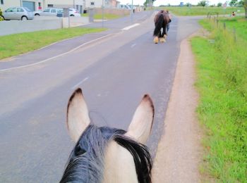 Trail Horseback riding Burthecourt-aux-Chênes - vermois2 - Photo