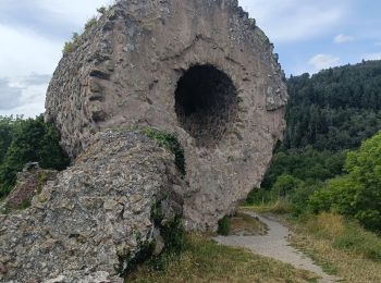 Randonnée Vélo électrique Thann - Thann lac de Kruth  - Photo