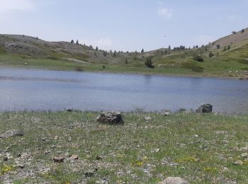 Tocht Stappen Cervières - Cervières - Photo