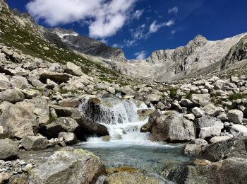 Tocht Te voet Valdaone - Sentiero della Val di Fumo - Photo