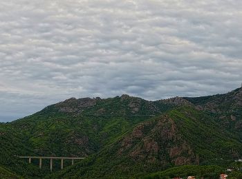 Tocht Te voet Framura - Framura (Setta) - Costa - Rovereto - Castagnola - Monte Sant'Agata - Photo