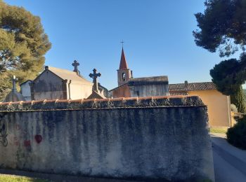 Randonnée Marche Le Castellet - Roche Redonne  - Photo