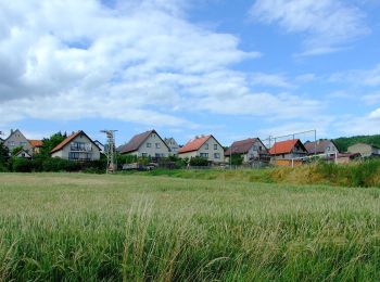 Percorso A piedi Račice - [Ž] Račice - Pod Beraníkem - Photo