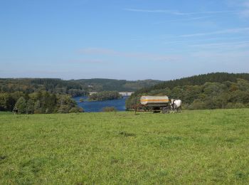 Tour Zu Fuß Radevormwald - Neuenhof Rundweg A3 - Photo