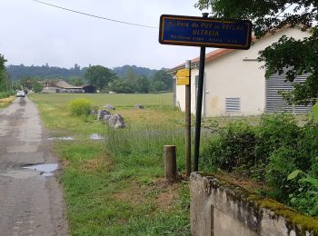 Tour Wandern Pimbo - ARZACQ / LOUVIGNY collecte 