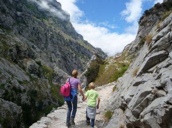 Tocht Te voet Posada de Valdeón - Wikiloc - Caín - Camarmeña - Photo