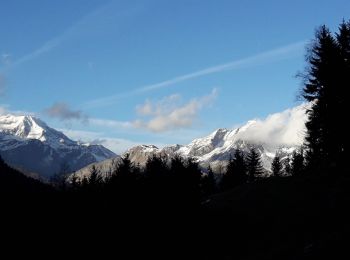 Excursión Bici de montaña Modane - loutraz valfrejus direction le lavoir - Photo