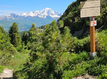 Tour Wandern La Plagne-Tarentaise - Plagne Soleil, Plagne Centre par le Haut du télésiège du Colorado  - Photo