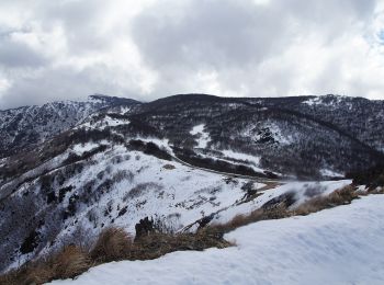 Tour Zu Fuß Genua - Fabbriche - Passo del faiallo - Photo