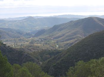 Excursión A pie Coín - Sendero El Nacimiento - Cerro Alaminos - Photo