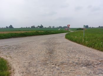 Tour Wandern Chaumont-Gistoux - MMM Recon. Arnelle  Roux-Miroir Mai 2023 - Photo