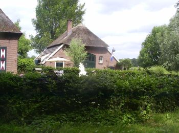 Tocht Te voet Lochem - Klompenpad De Schoolt - Photo