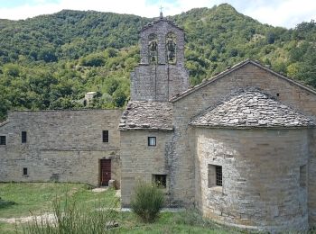 Tocht Te voet Tredozio - Alta Via dei Parchi: Tappa 18 - Photo