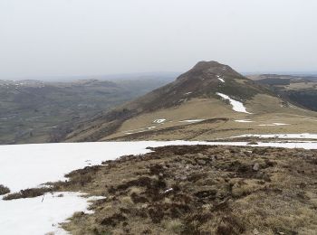 Tocht Stappen Lavigerie - Boucle de La Gravière, Bec d'aigle, Seycheuse - Photo