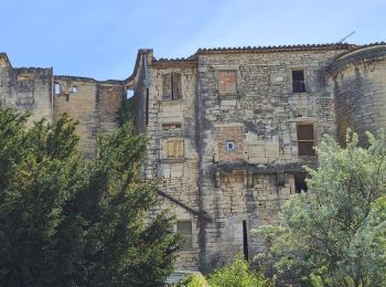 Randonnée Marche Aubais - aubais-junas - Photo