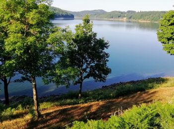 Randonnée Marche Nages - Lac du Laouzas du Camping des Fées du Lac à Villelongue - Photo