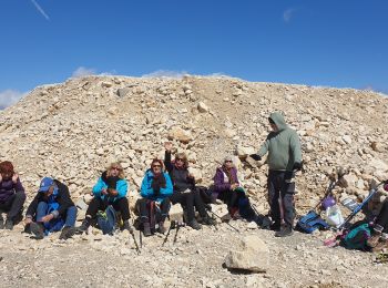 Tour Wandern Bédoin - Mont ventoux  - Photo