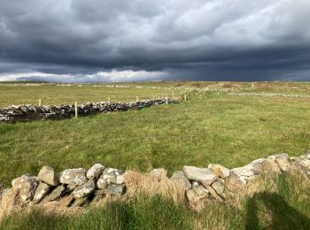 Tour Wandern West Clare Municipal District - Cliffs of Moher - Photo