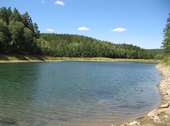 Tocht Te voet Ježkovice - Naučná stezka Černov - Photo