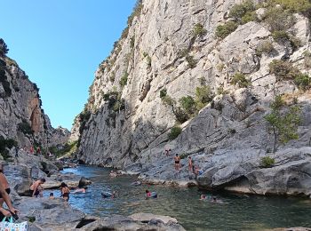 Excursión Senderismo Tautavel - les gorges . tautavel par les vignes  ..  retour par la vallée - Photo