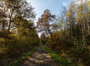 Tour Zu Fuß Mandern - Mandern 1 - Photo