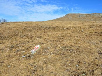 Tocht Te voet Albeck - Speikkofel - Photo