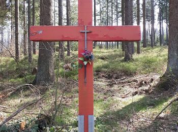 Tocht Te voet Roetgen - Hahner Straße Rundweg A1 - Photo