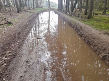 Excursión Senderismo Bièvre - Marche ADEPS 10KM400 à Graide. - Photo