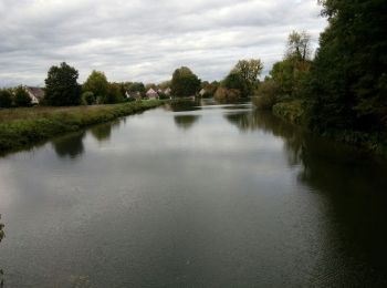 Excursión Senderismo Moret-Loing-et-Orvanne - Orvanne - Photo