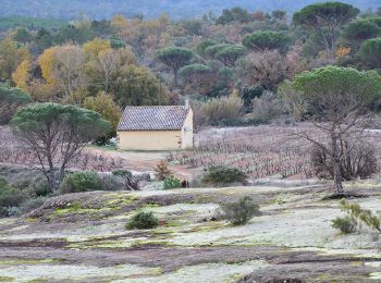 Randonnée Marche Le Cannet-des-Maures - La Garde Freinet par le Pont Romain - Photo