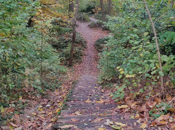 Tour Wandern Châtenay-Malabry - La forêt de Verrieres - Photo