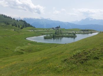 Randonnée Marche Verchaix - col de joux plane - Photo