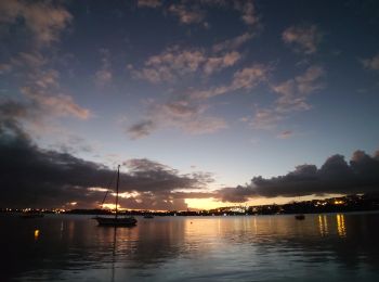 Tocht Stappen Le Lamentin - Centre nautique du Lamentin  - Photo