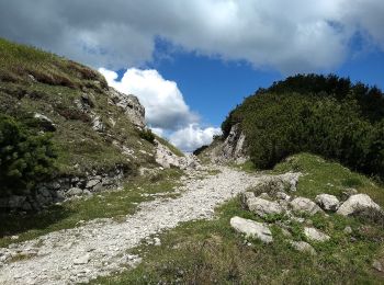 Randonnée A pied Magasa - Passo della Puria, Monte Caplone, incr. 444 - Photo