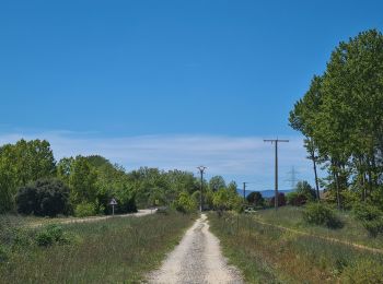 Randonnée Marche Villares de Órbigo - Santibañez Astorga Murias - Photo