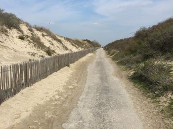 Trail Walking Cayeux-sur-Mer - Le hourdel  10/04/2019 baie de somme - Photo