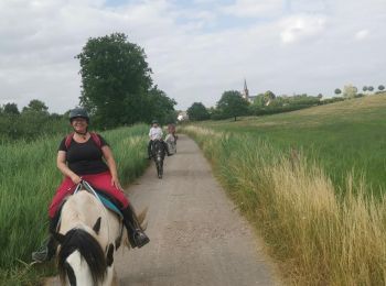 Tour Pferd Anzelingen - Wikiloc - Grande boucle Neudorf - Photo