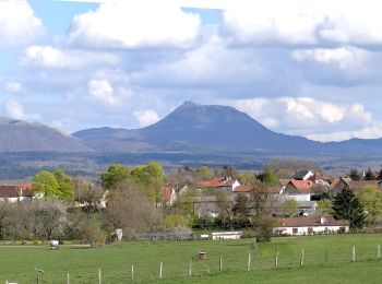 Randonnée Marche Bromont-Lamothe - Bromont_Puy_Moufle - Photo