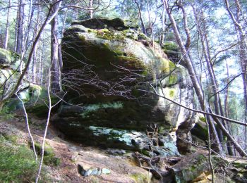 Excursión A pie Mistelbach - Mistelbach Romantikweg - Photo